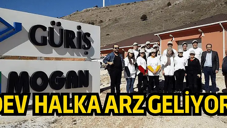 Mogan Enerji halka arz ne zaman, kaç lot verir, katılım endeksine uygun mu?