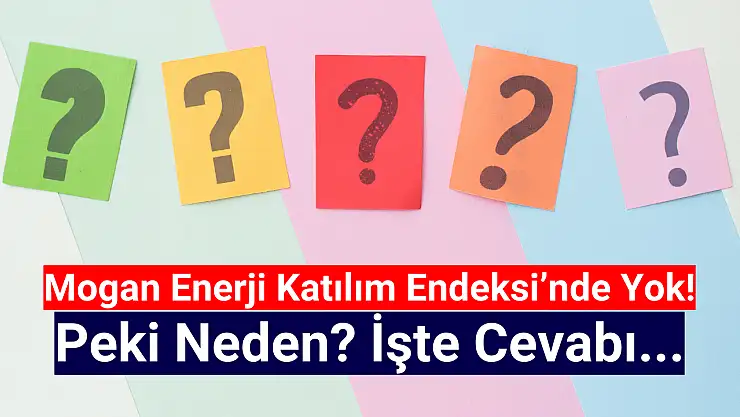 Mogan Enerji katılım endeksine neden uygun değil?