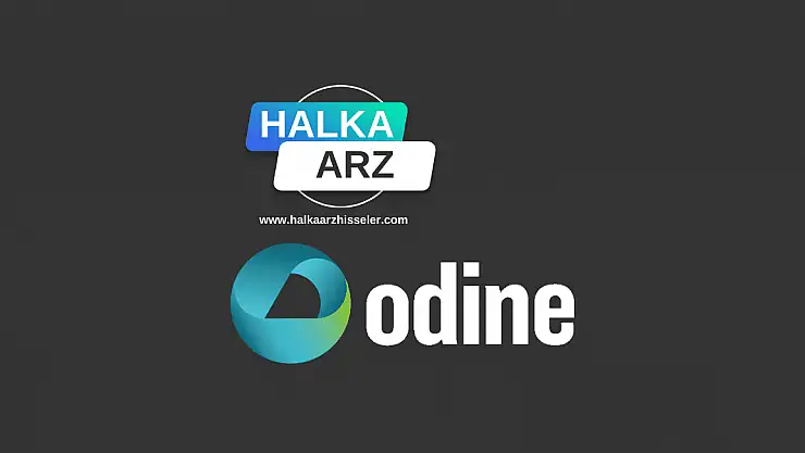 Odine Solutions Teknoloji halka arz ne zaman, kaç lot verir, katılım endeksine uygun mu?