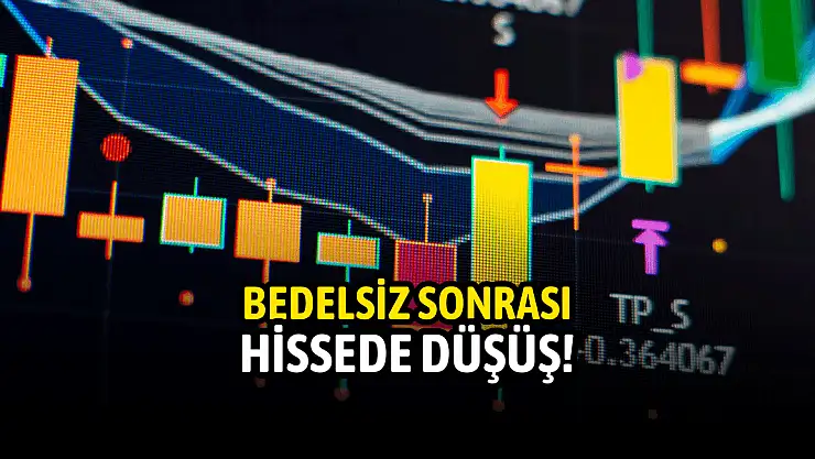 Rekor bedelsiz sonrası hissede düşüş!