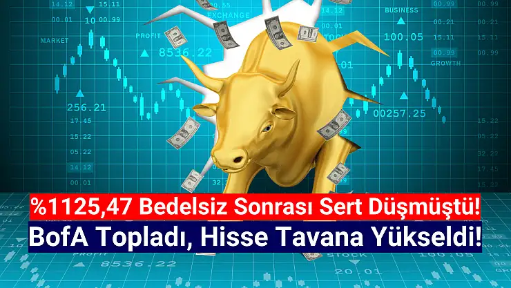Rekor bedelsiz sonrası sert düşen hisse bugün tavan!