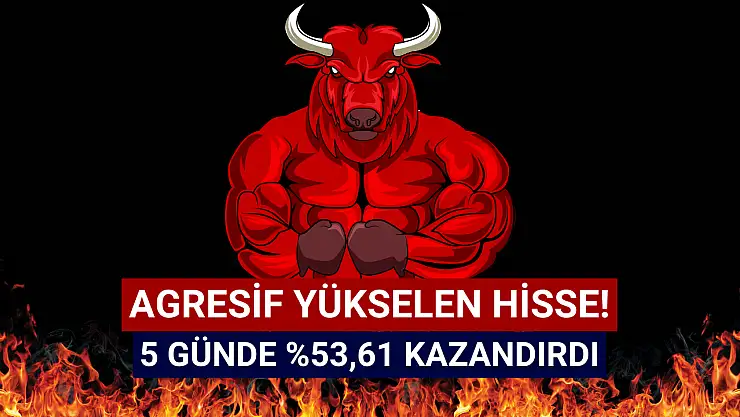 Sadece 5 günde yüzde 53,61 ile en çok yükselen hisse oldu!