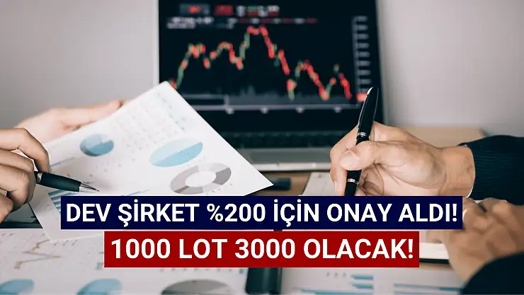 SPK onay verdi! 1000 lot 3000 olacak!