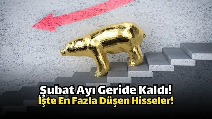 Şubat ayında en çok düşen hisseler!