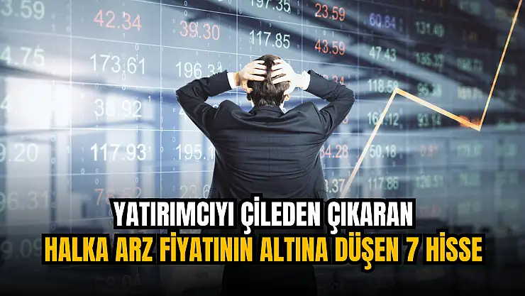 Tam 7 hisse, halka arz fiyatının altına düştü!