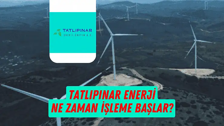 TATEN halka arz sonuçları, kaç lot verdi? Borsada ne zaman işlem görecek?