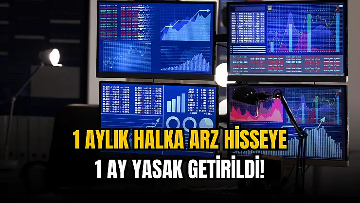 Yeni halka arz hisseye 1 ay yasak!