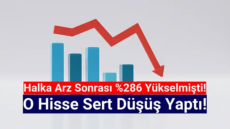 Yüzde 286 yükselen halka arz hisse sert düştü!