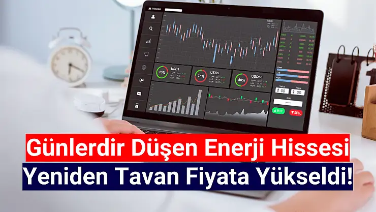 Yüzde 35 düşen enerji hissesi yeniden tavan oldu!