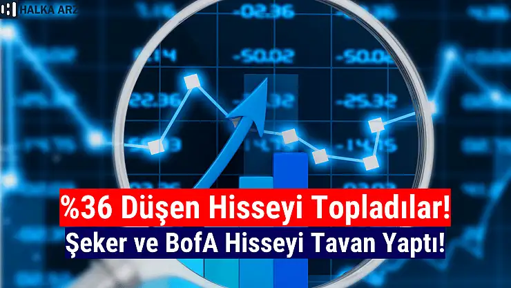 Yüzde 36 düşen hisseyi Şeker ve BofA tavana götürdü!