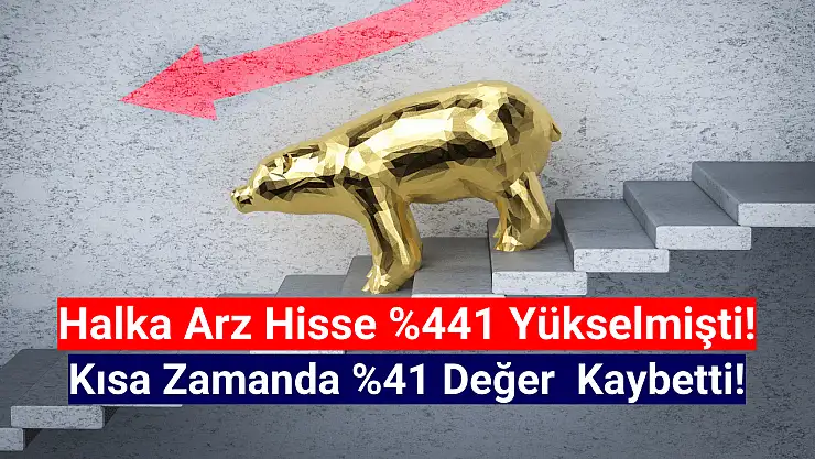 Yüzde 441 yükselen halka arz hisse, kısa zamanda yüzde 41 düştü!
