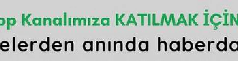 Whatsapp Kanalı